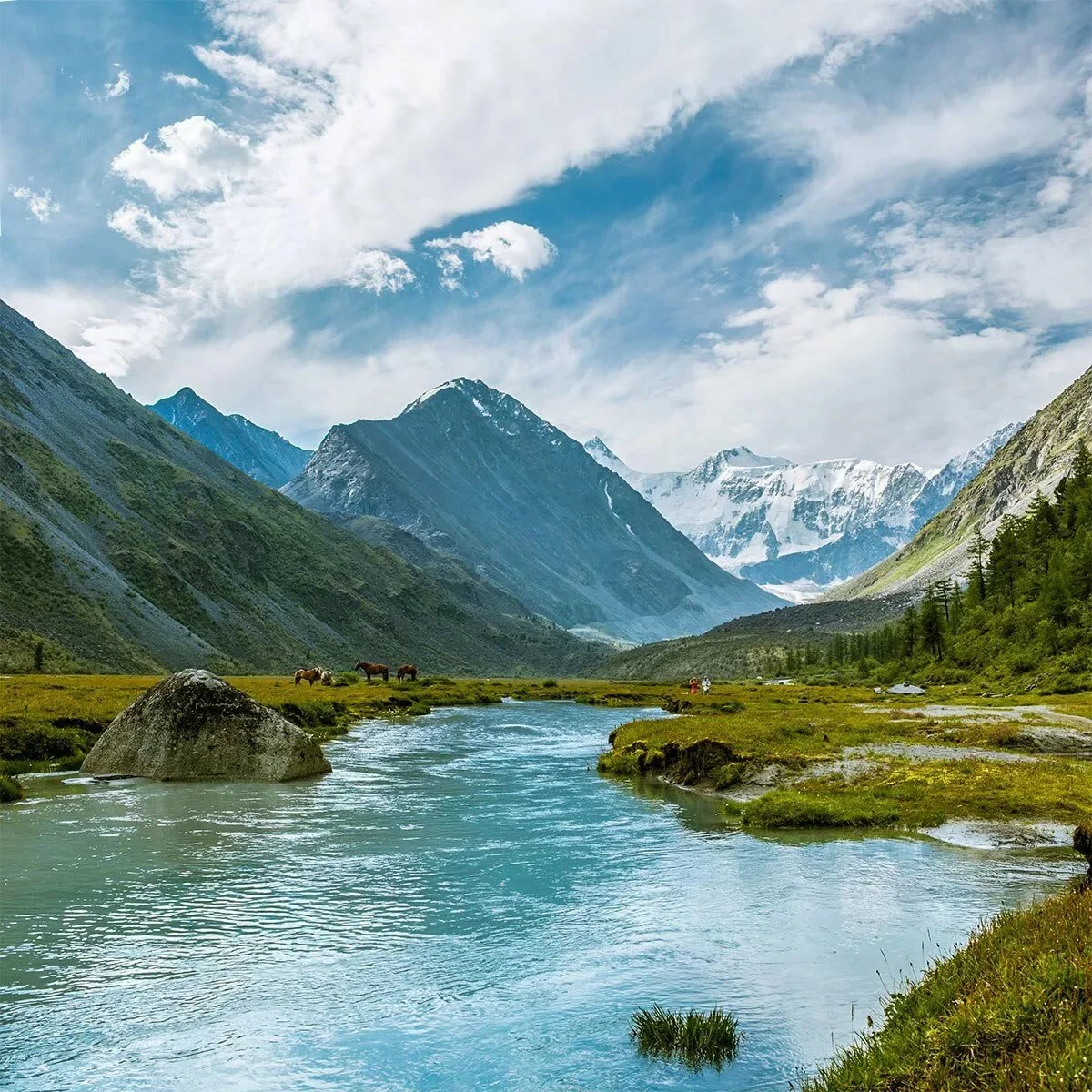 image - 2020-03-29T093509.764.webp