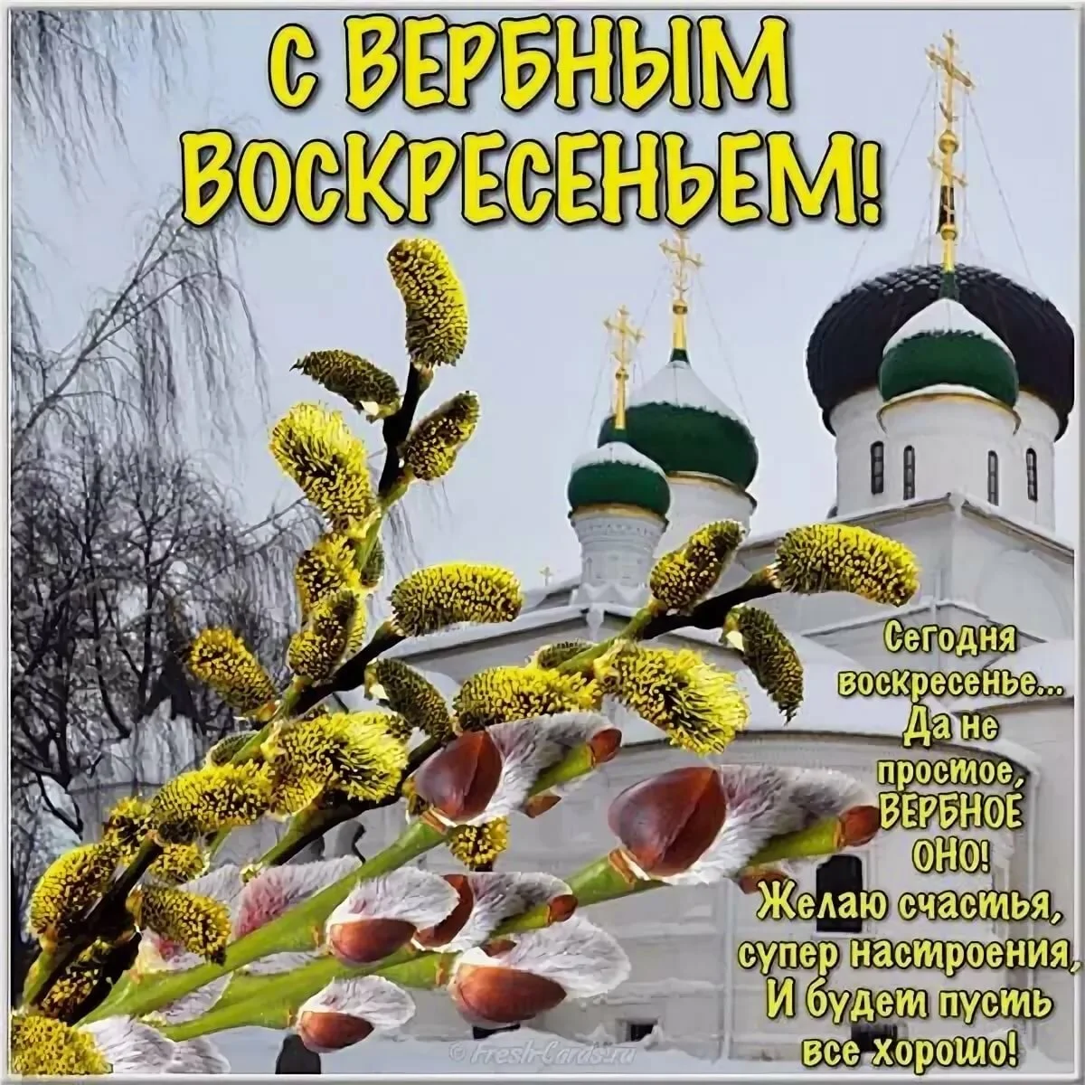 image - 2020-04-12T112421.106.webp