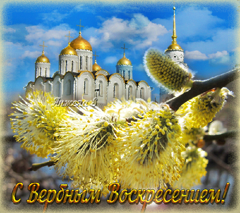 image - 2020-04-12T142508.330.gif