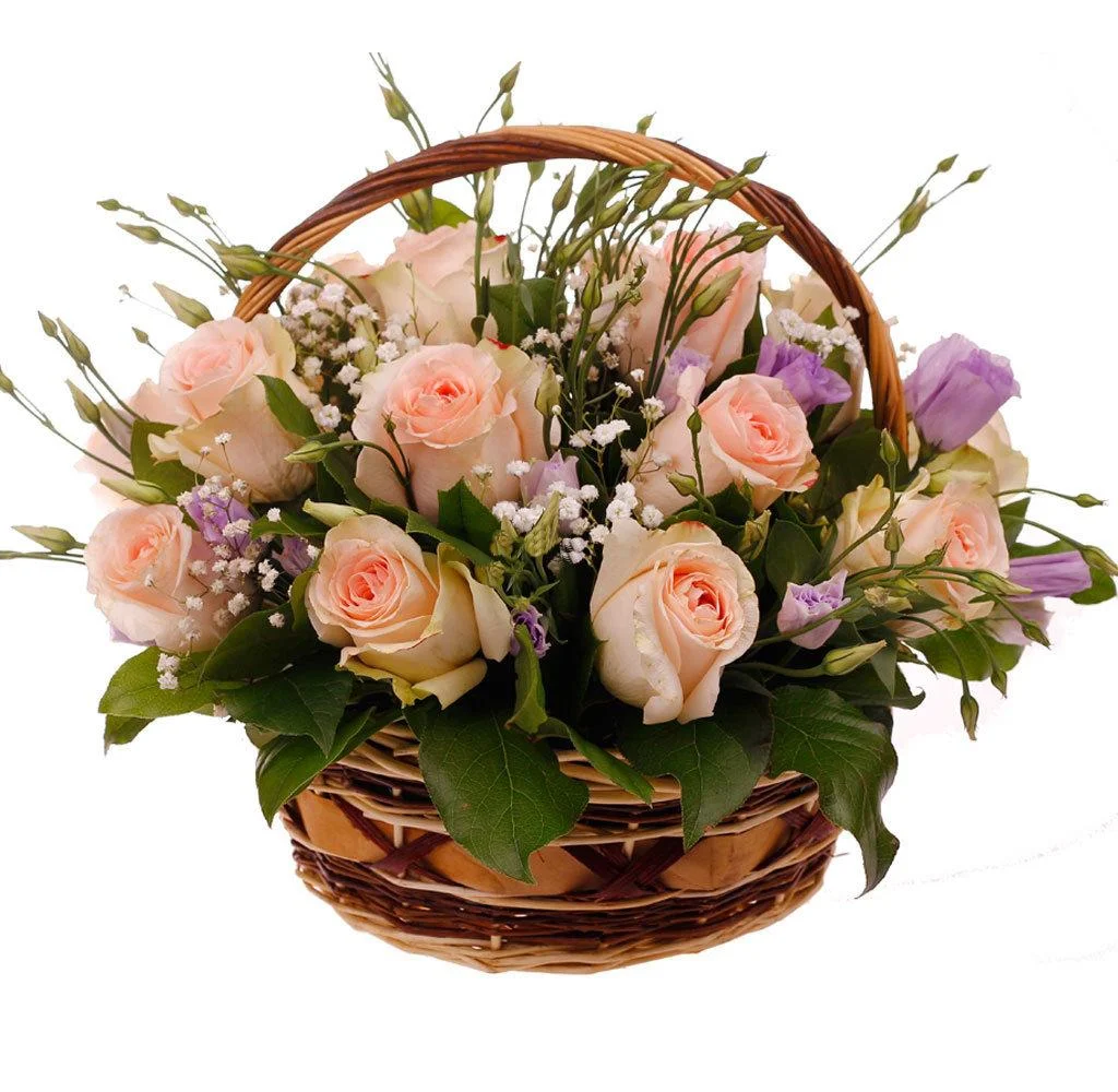 image - 2020-04-14T093707.462.webp