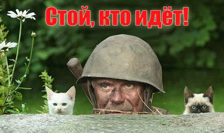 image - 2020-04-14T220121.047.jpg