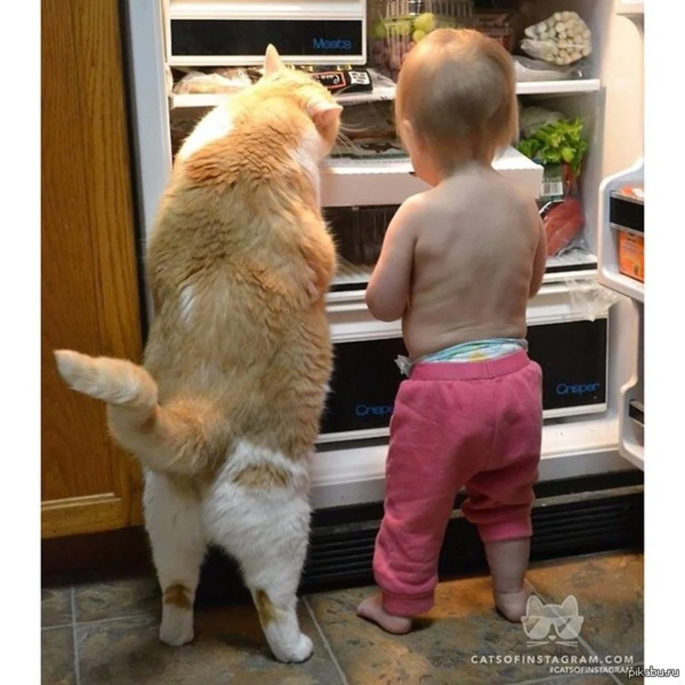 image - 2020-04-14T220824.494.webp