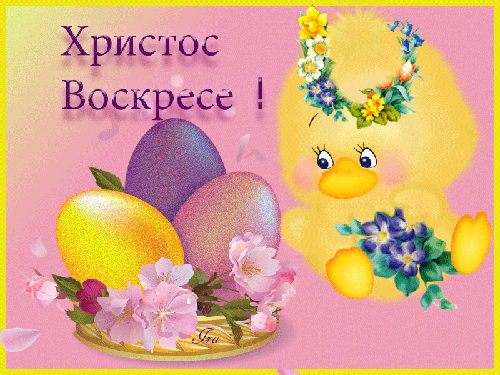 image - 2020-04-19T093548.085.GIF