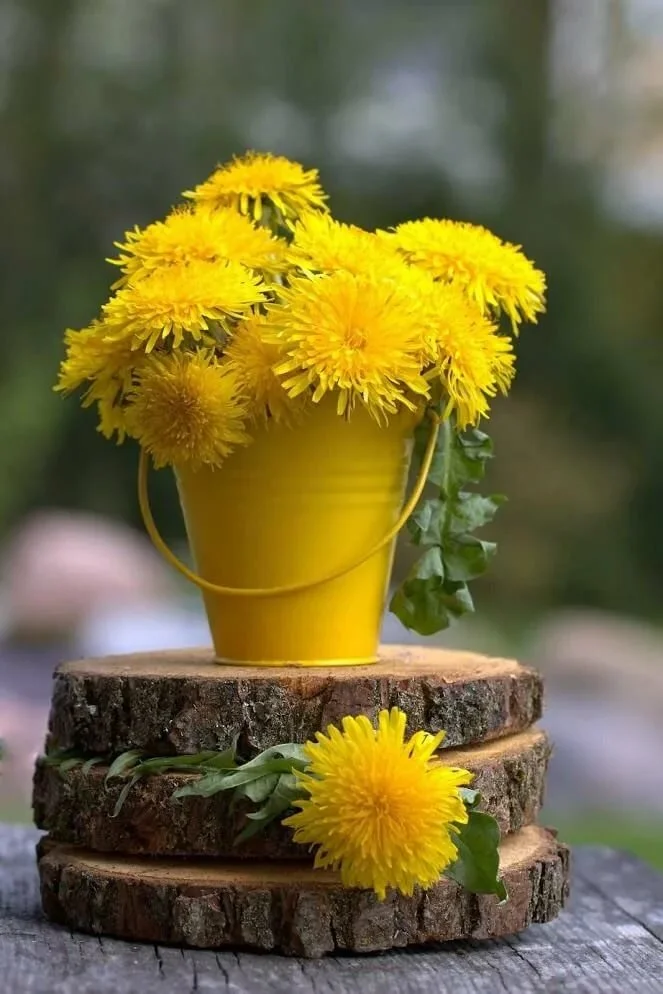 image - 2020-06-09T092958.944.webp