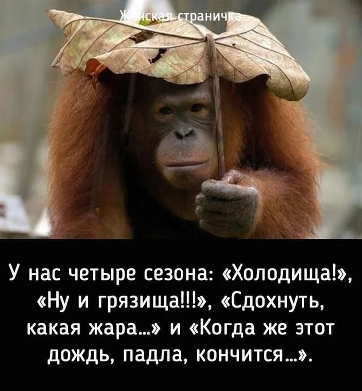 image - 2020-06-09T221801.407.webp