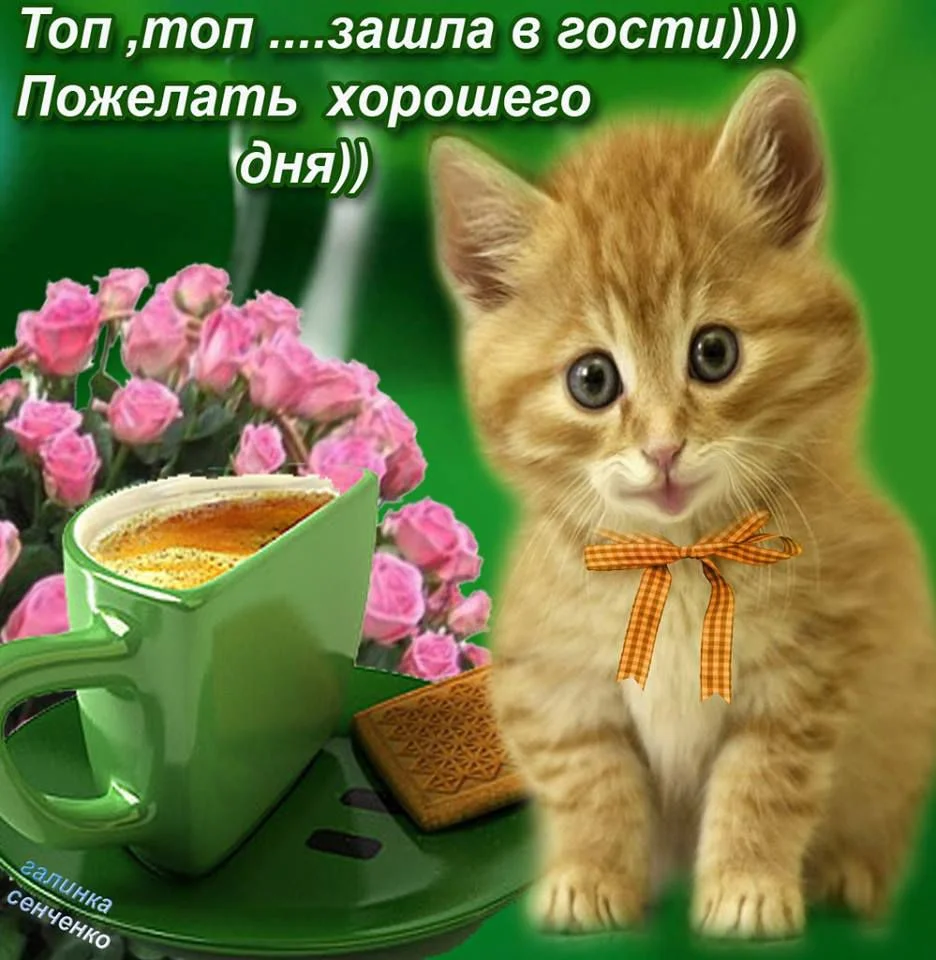 image - 2020-08-18T001327.199.webp