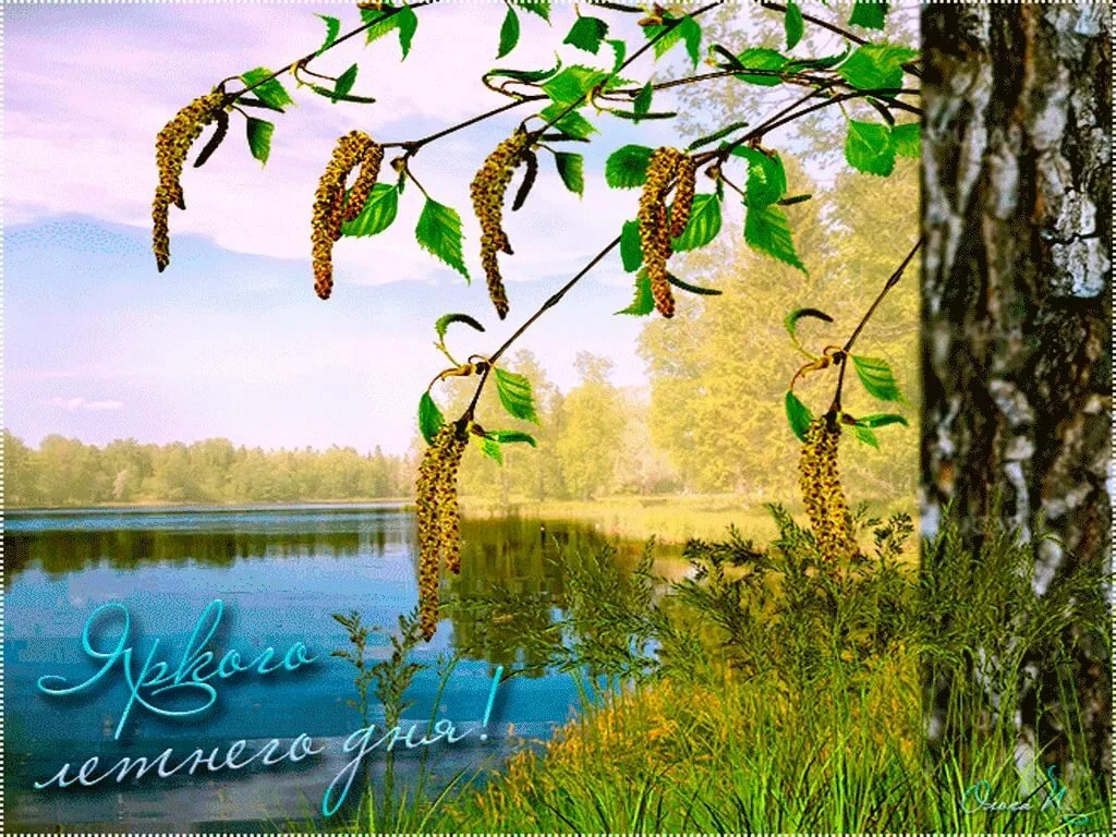 image - 2020-08-24T090359.581.webp