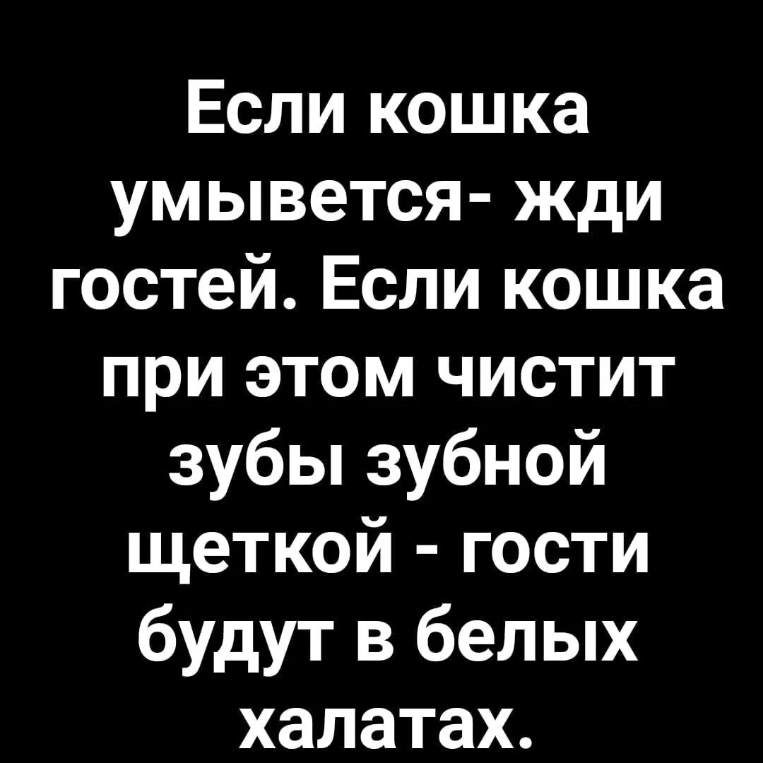 image - 2020-09-24T200033.655.webp