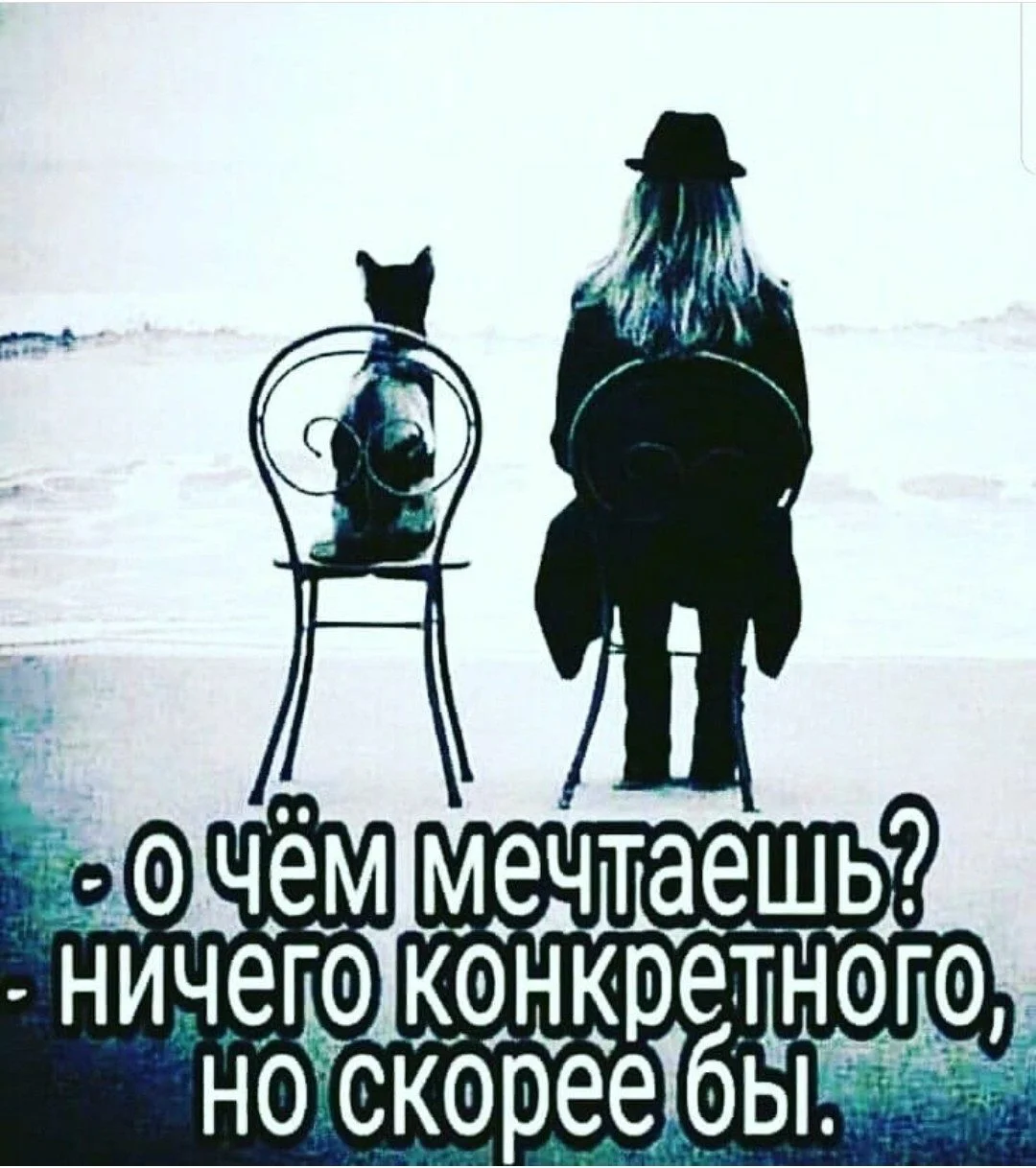 image - 2020-09-25T204700.716.webp