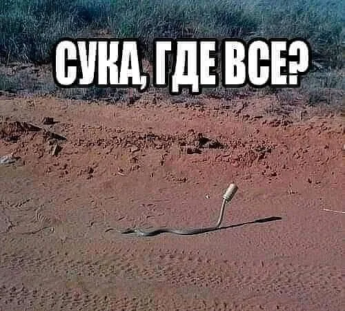 image - 2020-09-26T173214.819.webp