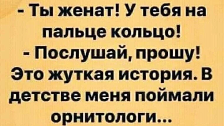 image - 2020-09-26T181547.818.webp