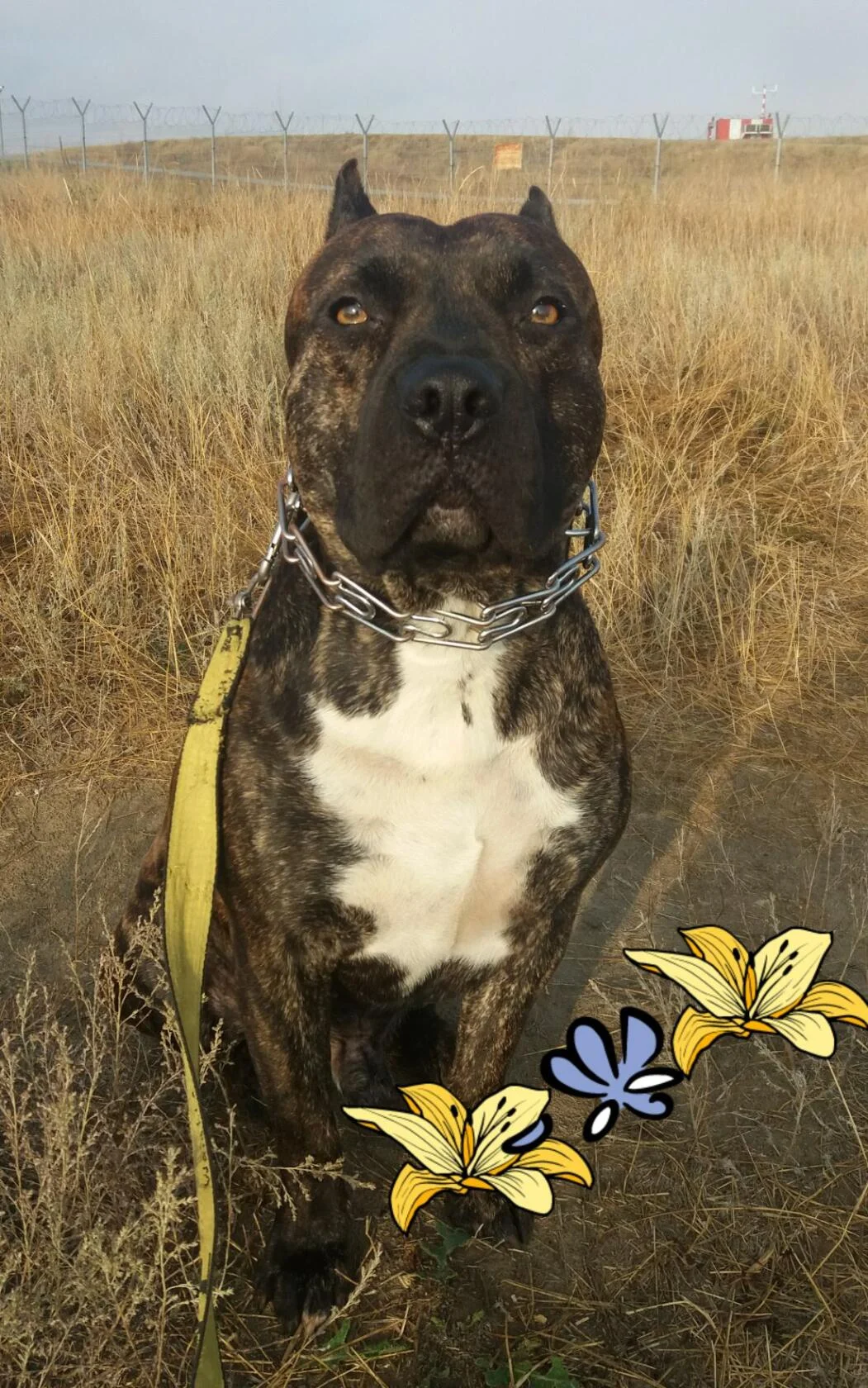 image - 2020-09-26T201644.976.webp