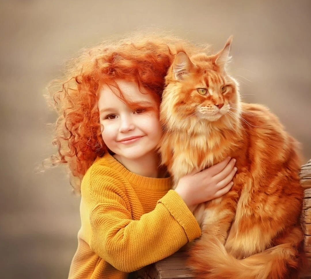 image - 2020-09-27T104702.538.webp