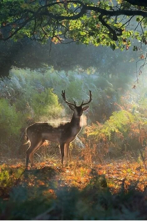 image - 2020-09-27T104720.745.webp