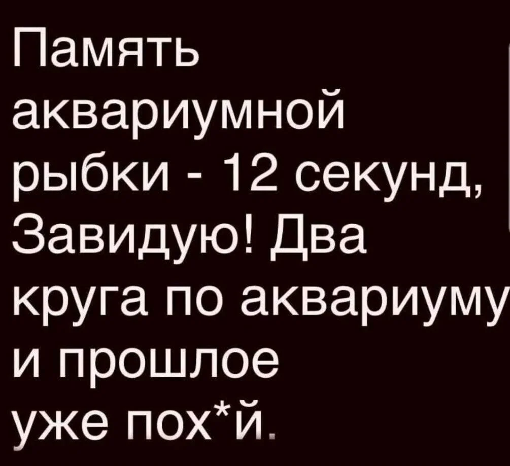image - 2020-09-30T230958.981.webp