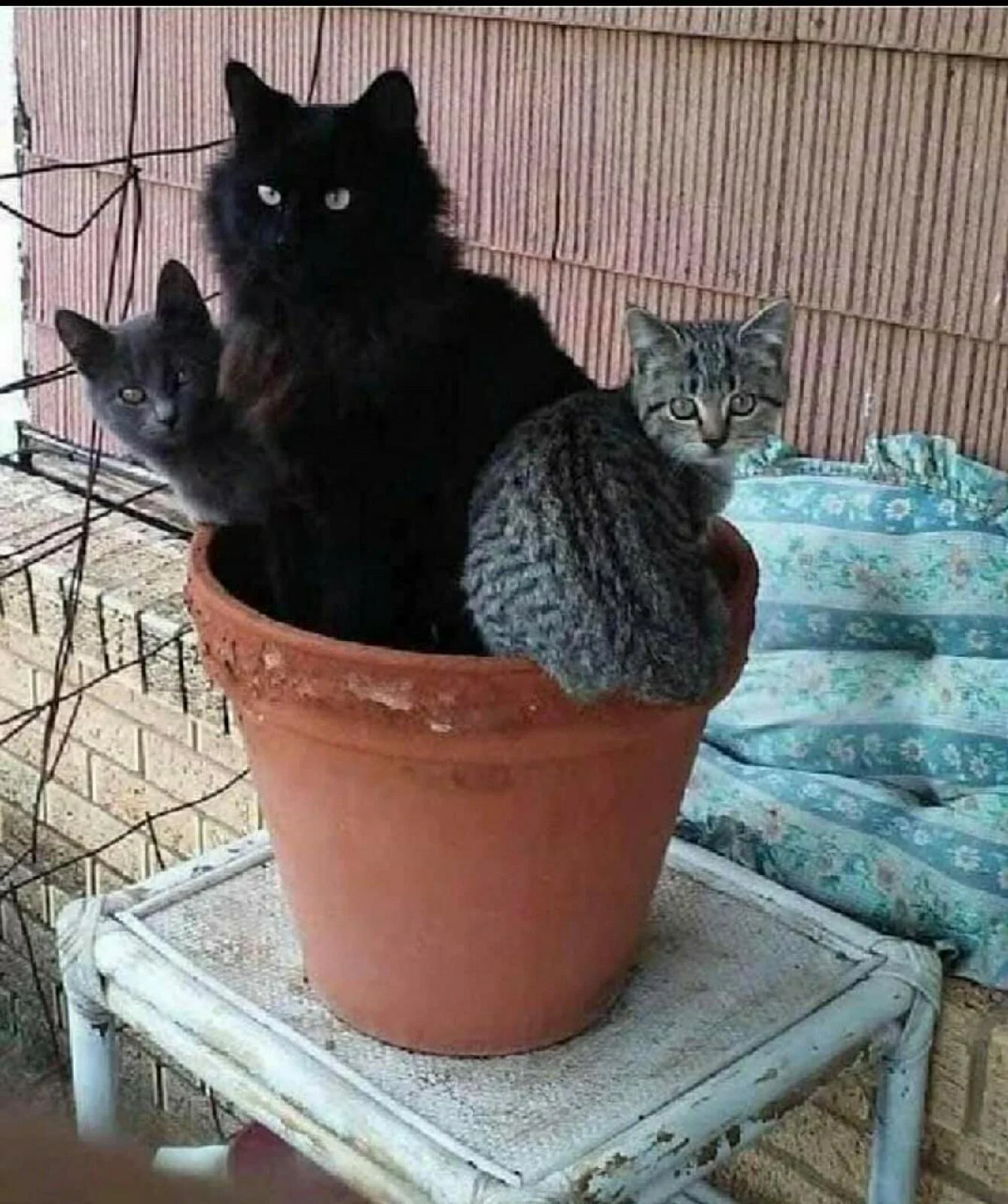 image - 2020-10-03T111950.613.webp