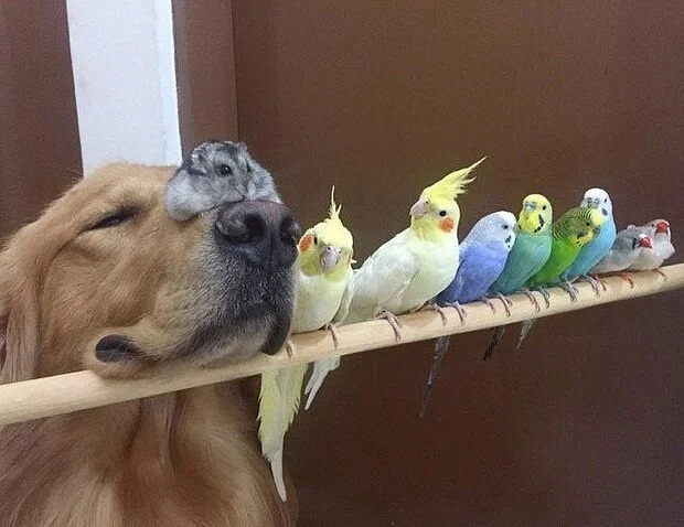 image - 2020-10-09T191645.795.webp