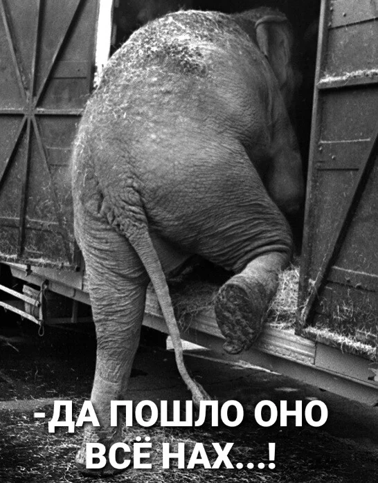 image - 2020-10-12T220943.870.webp