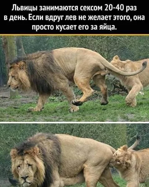 image - 2020-10-13T173123.931.webp