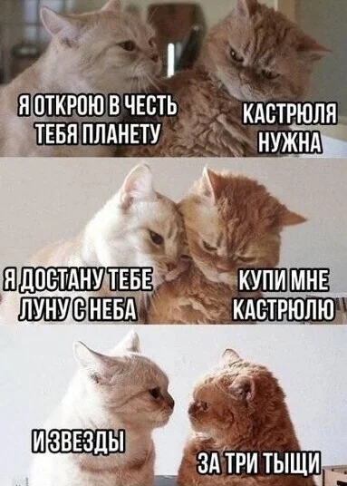 image - 2020-10-14T173004.075.webp