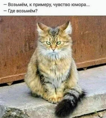 image - 2020-10-16T173235.495.webp