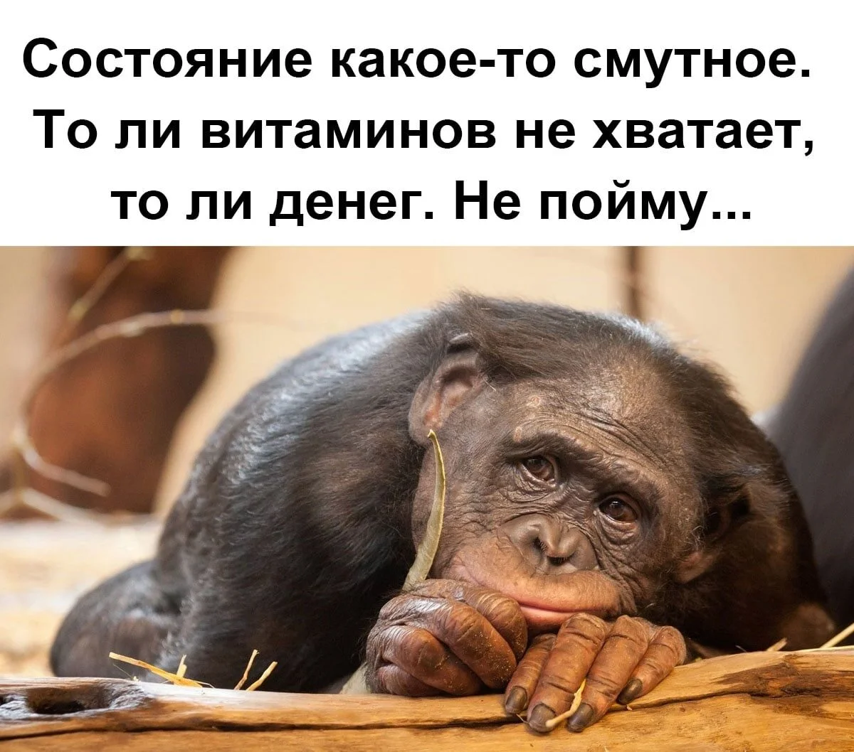 image - 2020-10-16T173620.547.webp