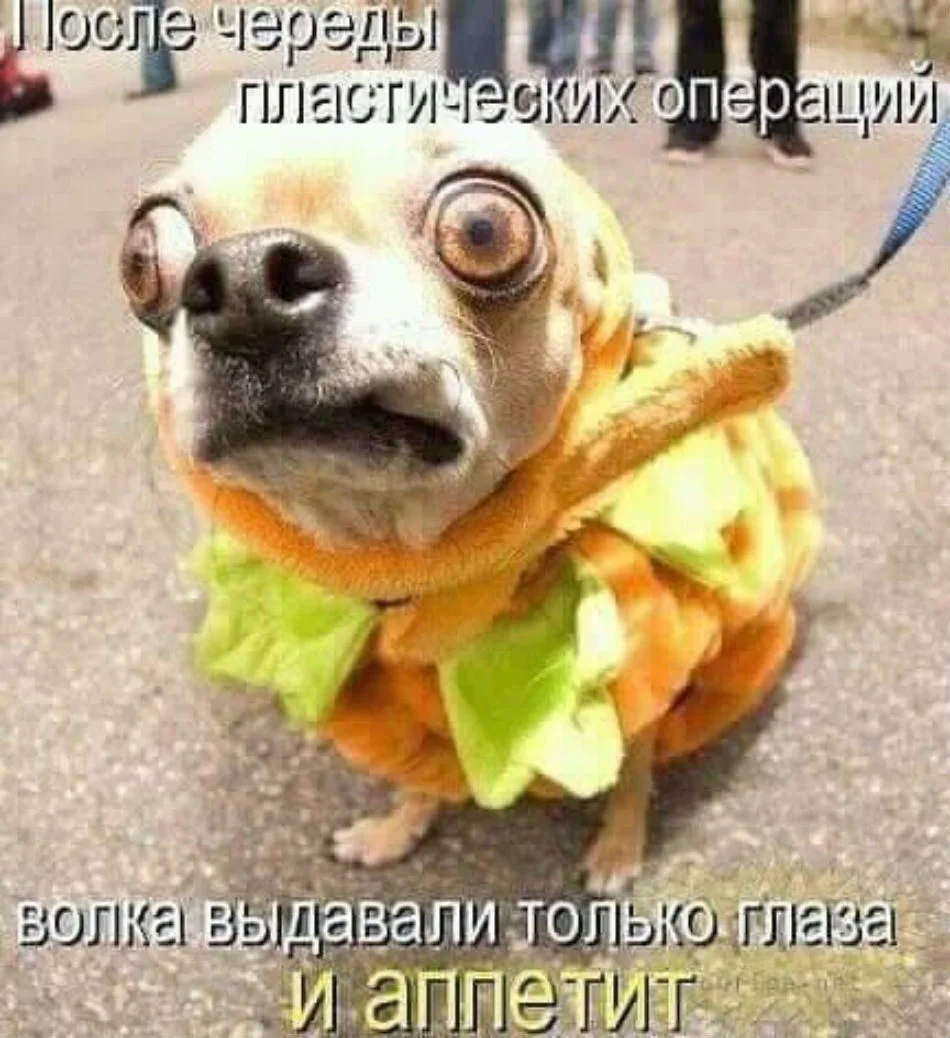 image - 2020-10-16T173829.008.webp