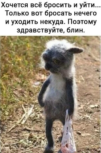 image - 2020-10-22T201226.011.webp