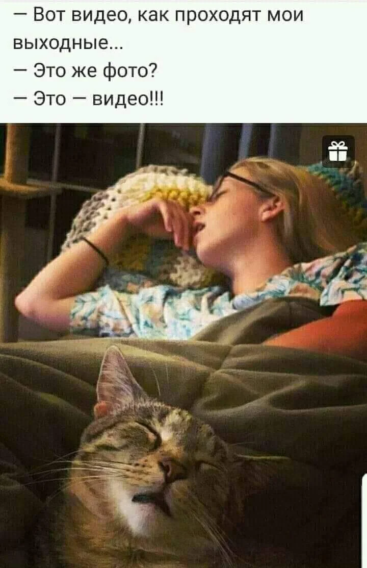 image - 2020-11-01T115116.355.webp