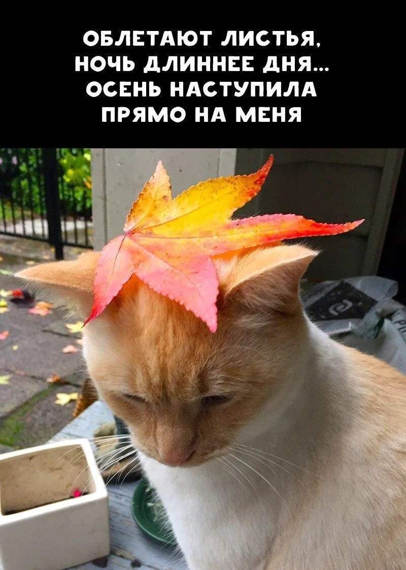 image - 2020-11-06T211634.240.webp