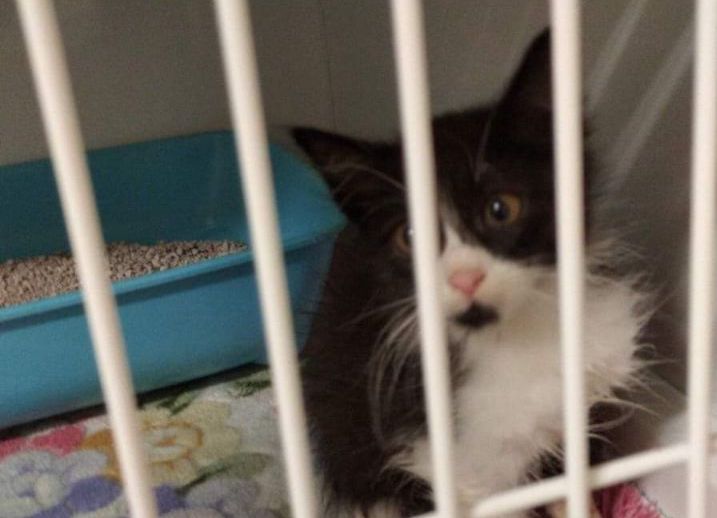 IMAGE 2020-11-09 00_00_26_5fa878b8aaeb9.jpg