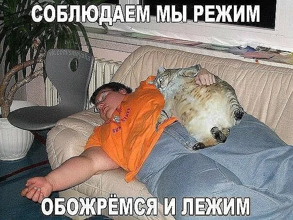 image - 2020-11-11T215427.180.webp