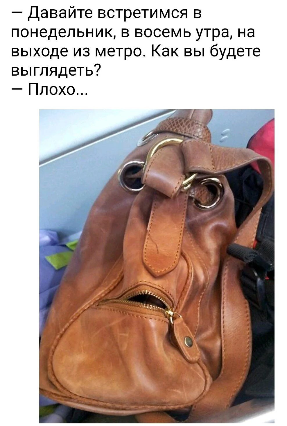 image - 2020-11-24T232553.265.webp