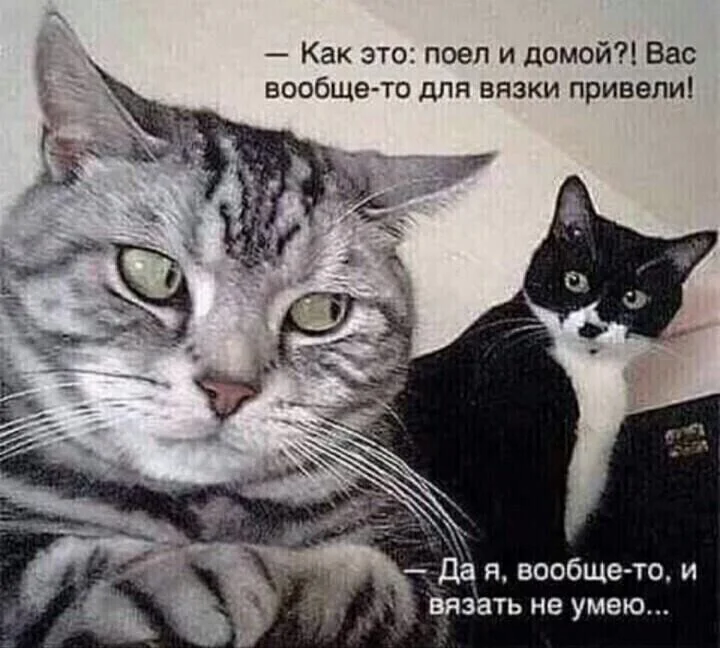 image - 2020-11-25T065131.268.webp