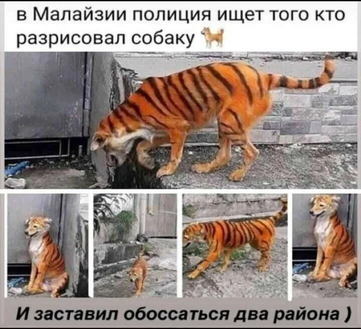 image - 2020-11-30T201051.518.webp