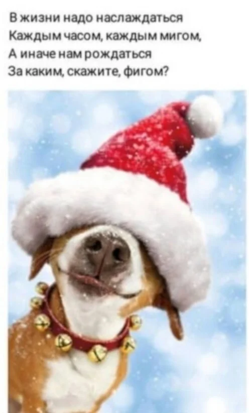 image - 2021-01-11T232415.610.webp