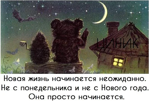 image - 2021-01-12T065444.325.webp