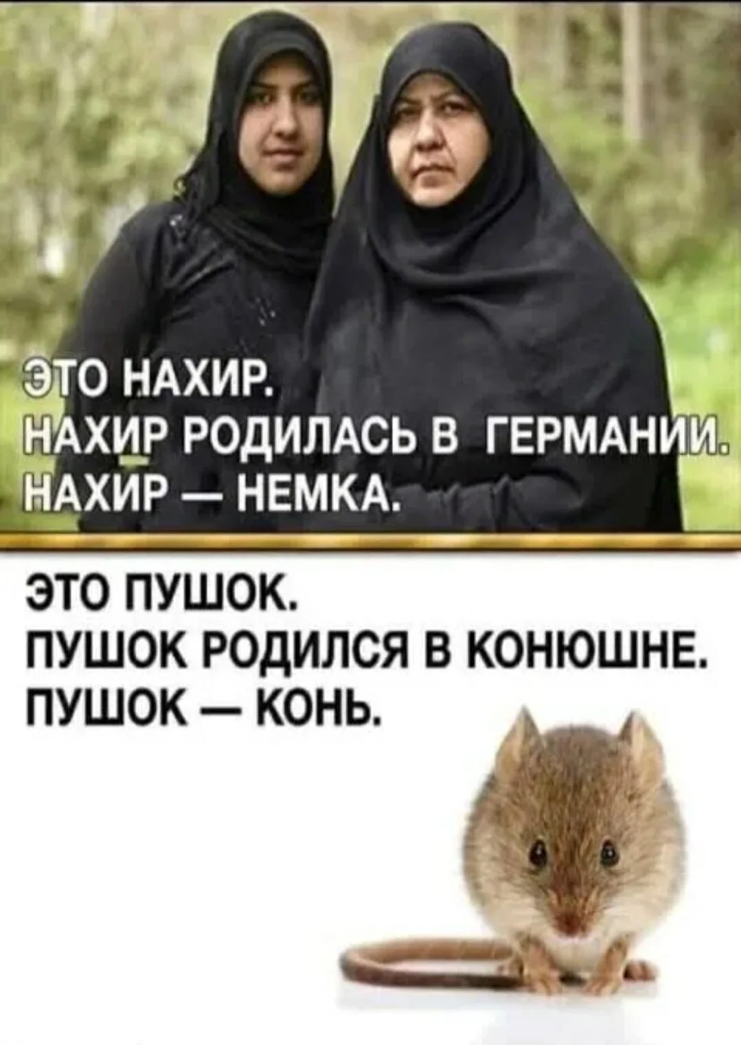 image - 2021-01-30T150456.175.webp