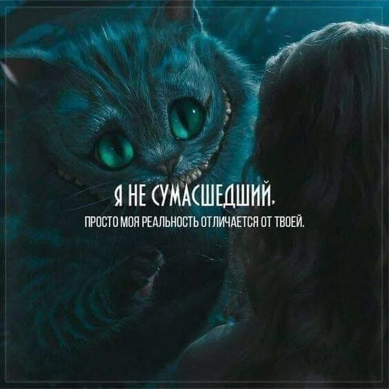 image - 2021-02-23T111705.122.webp