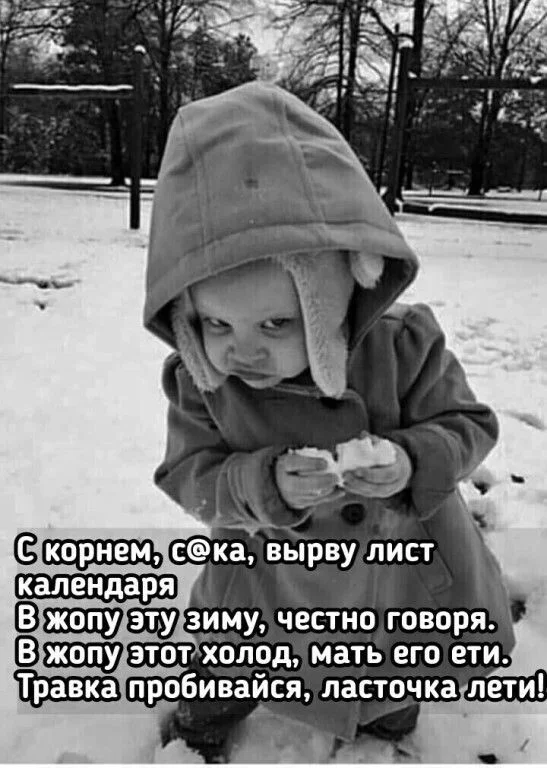 image - 2021-03-03T222731.815.webp