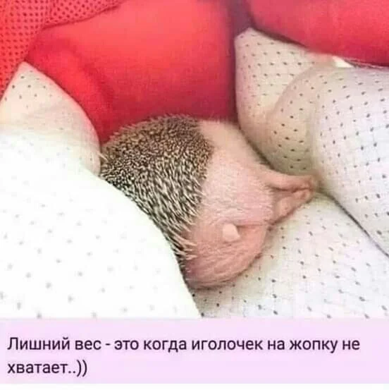 image - 2021-03-20T003232.891.webp