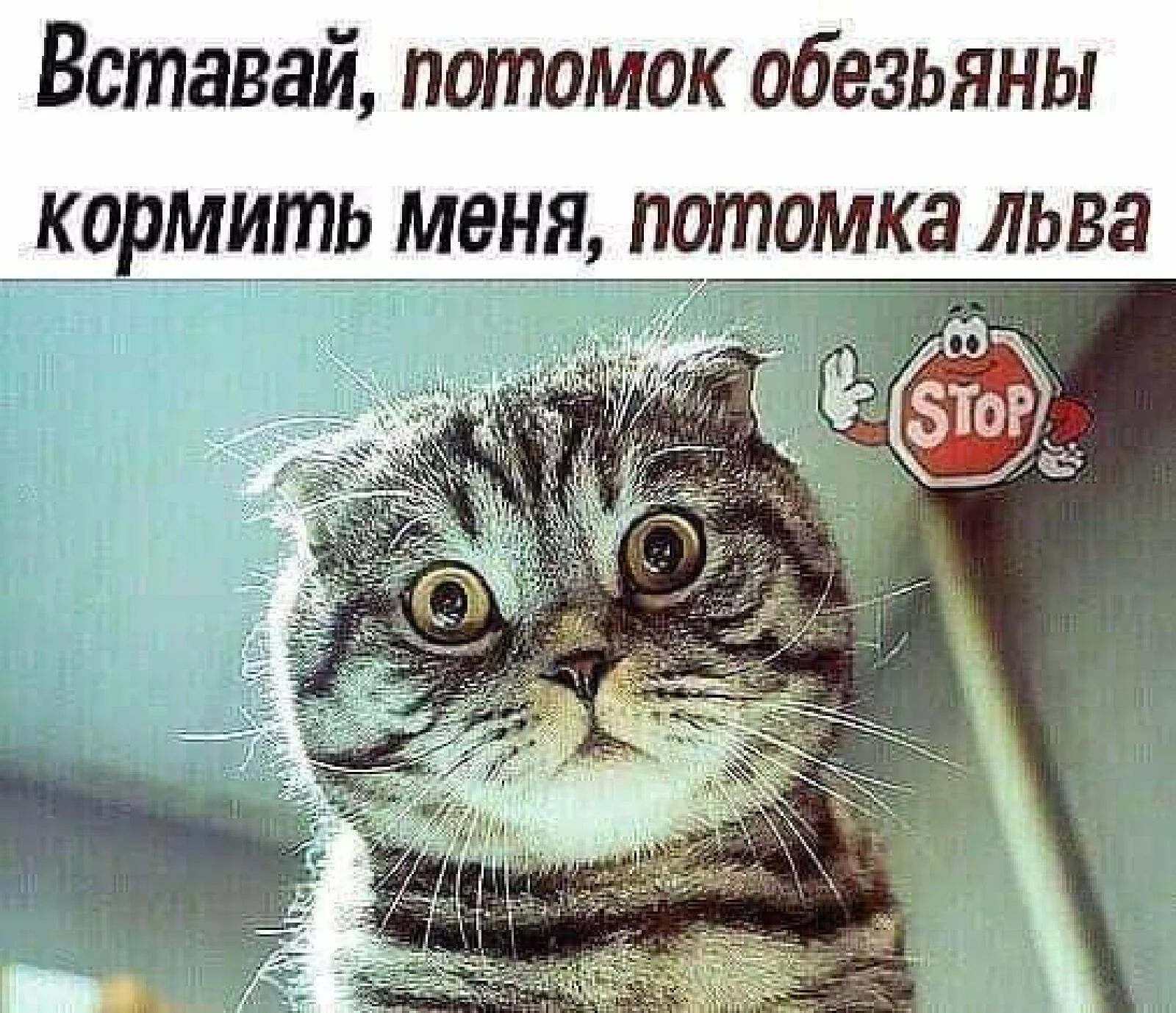 image - 2021-03-20T112450.414.webp