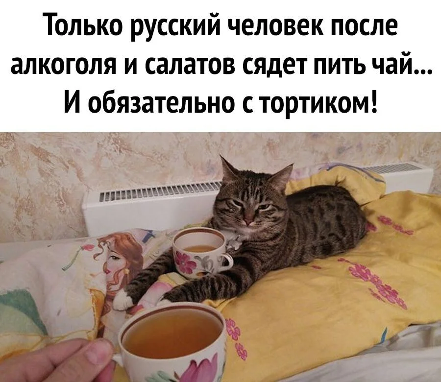 image - 2021-04-14T220300.543.webp