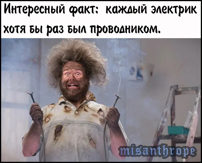 image - 2021-04-16T231651.718.webp