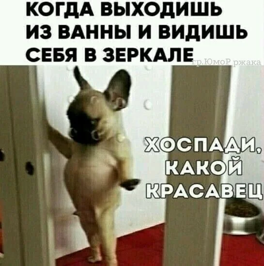 image - 2021-04-17T195340.637.webp