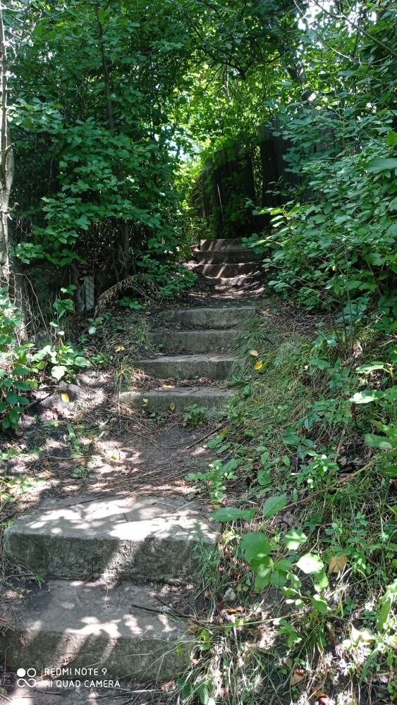 image-2021-07-31 19_10_22.webp