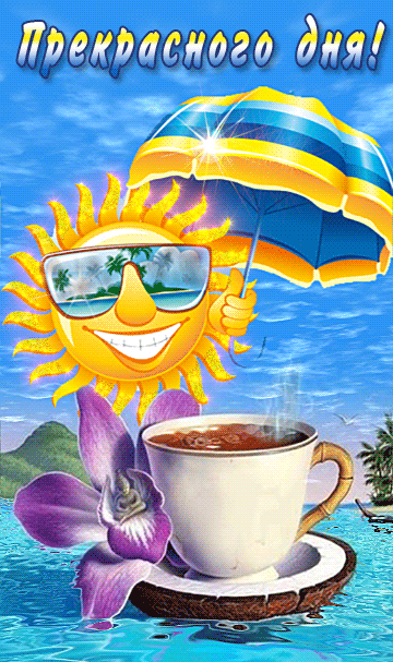 image (24).gif