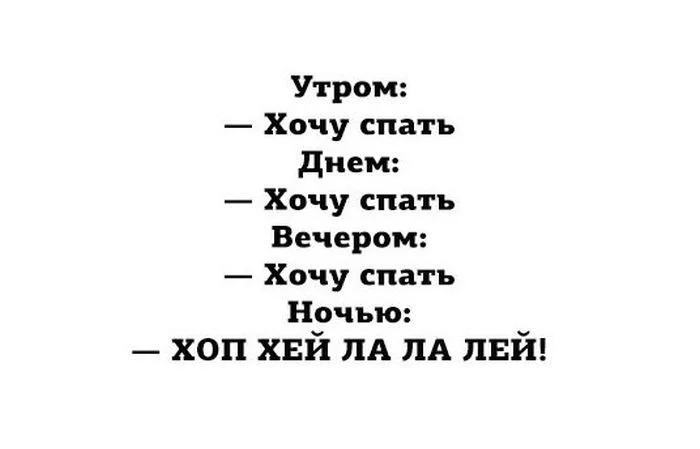 image-24.webp