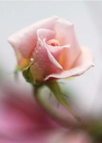 image (27).webp