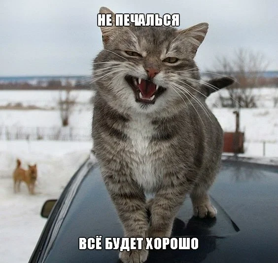 image%3A6382.webp